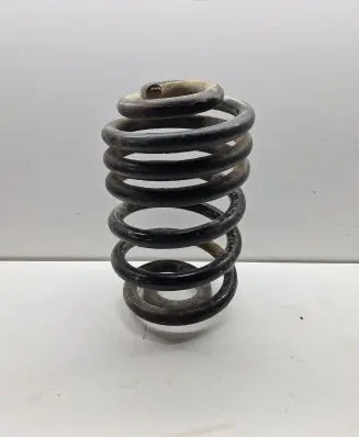 Renault Trafic II (X83) Rear coil spring