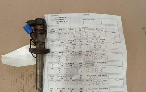 Renault Espace - Grand espace IV Fuel injector H82484408 0445110261 0695338