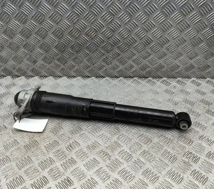 Volkswagen ID.4 Rear shock absorber/damper 1EA512013BD