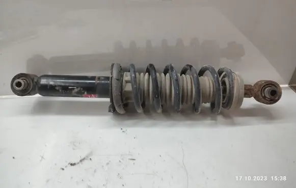 Citroen C5 Rear shock absorber with coil spring 