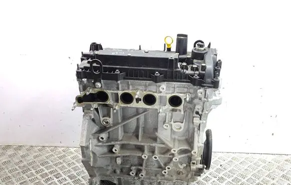 Ford Kuga III Engine BGDA NB442263