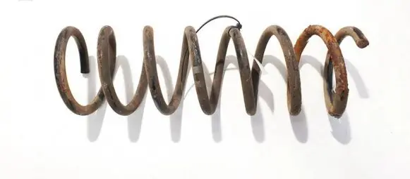 Volvo C30 Rear coil spring