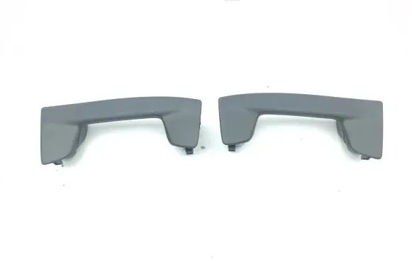 Toyota RAV 4 (XA50) A set of handles for the ceiling 