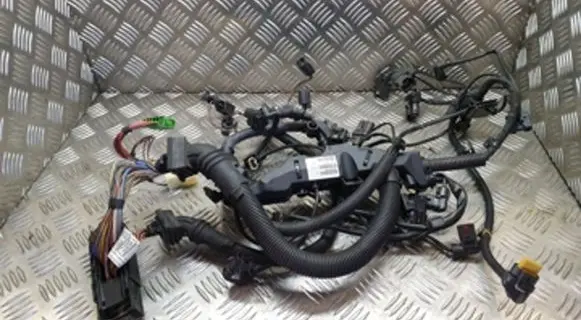Engine installation wiring loom