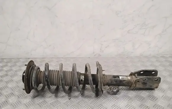 Opel Antara Front shock absorber/damper
