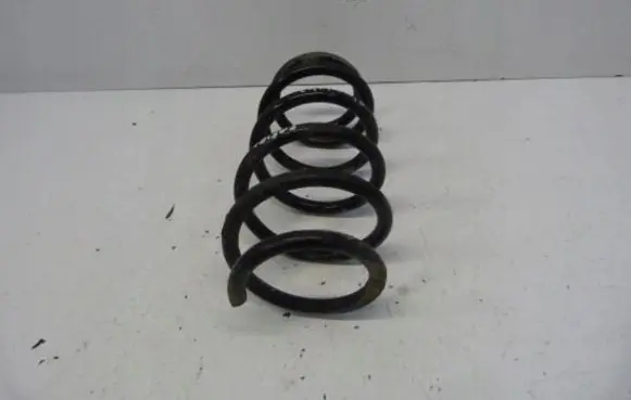 Front coil spring