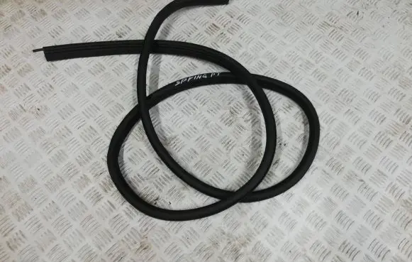 Dacia Spring Rubber seal rear door 