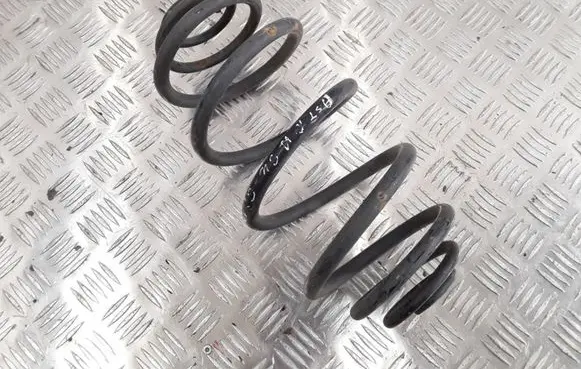 Rear coil spring