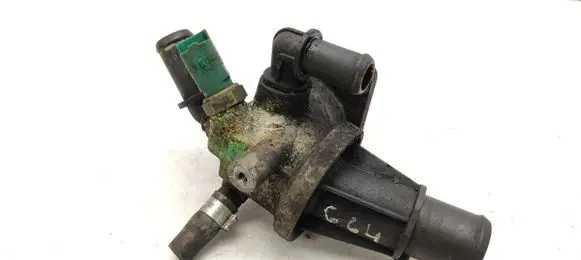 Thermostat/thermostat housing