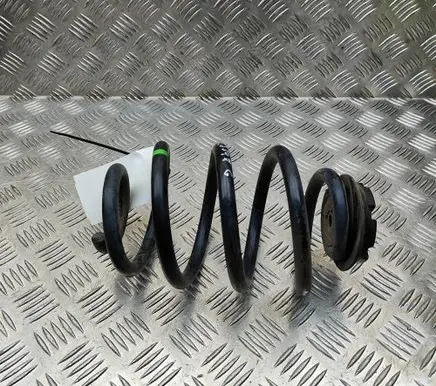 Nissan Leaf II (ZE1) Rear coil spring 550205SJ0A
