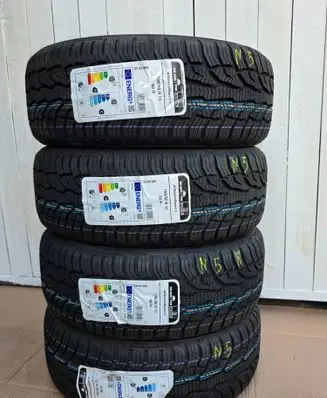 Ford Fiesta R15 summer tire 19550R15