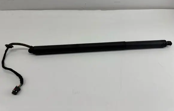Tailgate strut