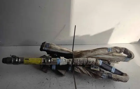 Toyota Sienna XL20 II Roof airbag