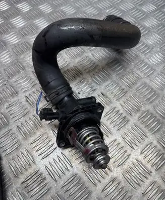 Thermostat/thermostat housing