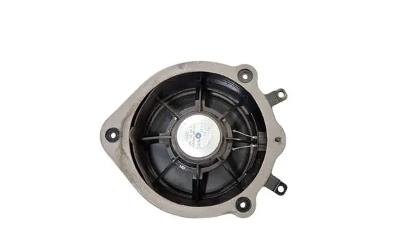 Front door speaker