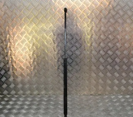 KIA Carnival Tailgate/trunk strut/damper D56070 0725N