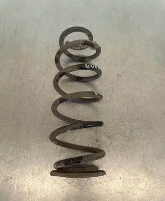 Volkswagen Golf VII Rear coil spring