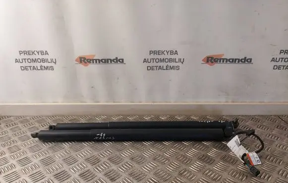 Hyundai Tucson IV NX4 Tailgate/trunk strut/damper 81841N7100 81831N7100