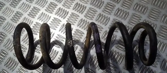 Peugeot 406 Rear coil spring