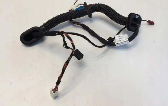 Front door wiring loom