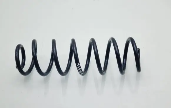 Renault Megane III Rear coil spring