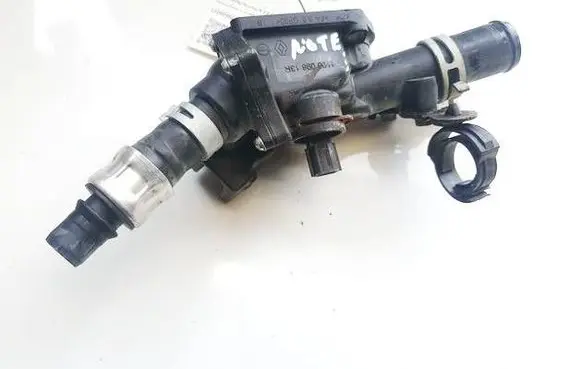 Nissan Note (E12) Engine coolant pipe/hose 110609813R