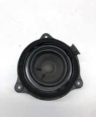 Front door speaker