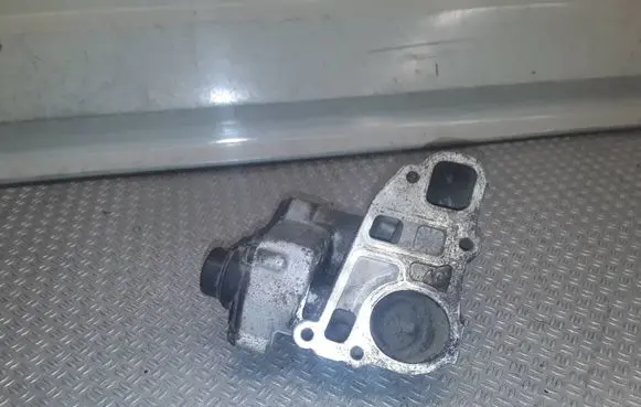 Opel Signum EGR valve 24404025