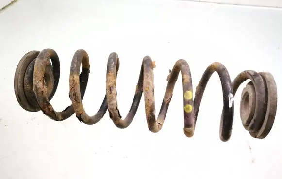 Volkswagen PASSAT B6 Rear coil spring