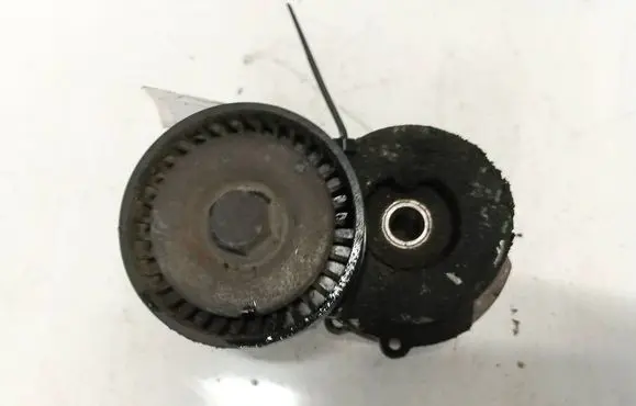 Fiat Punto (188) Generator/alternator belt tensioner
