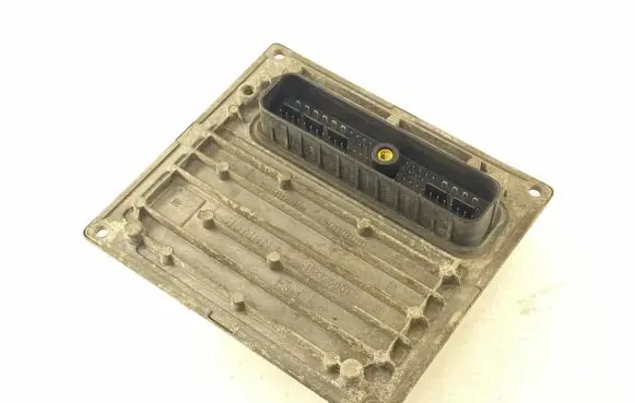 Engine control unit/module ECU