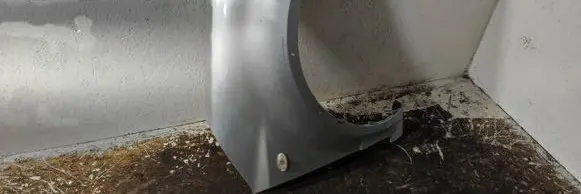 Fender