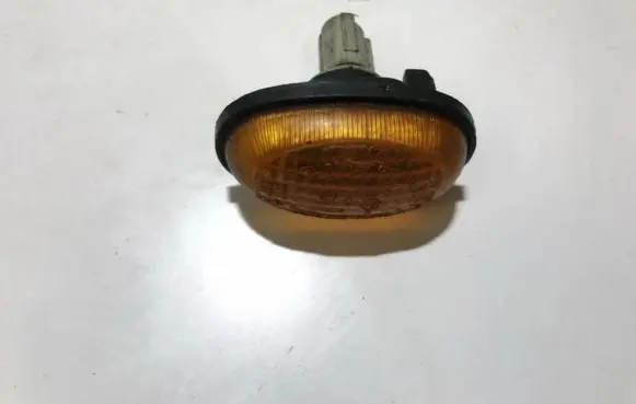 Front fender indicator light