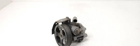Mitsubishi Grandis Power steering pump