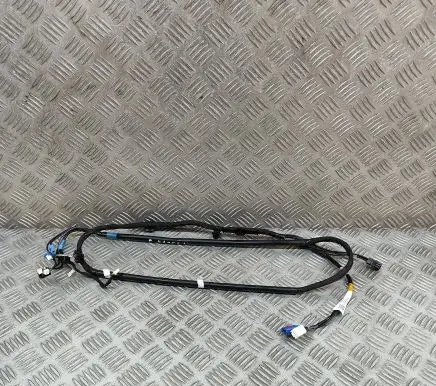 Tesla Model Y Other wiring loom 161669100C