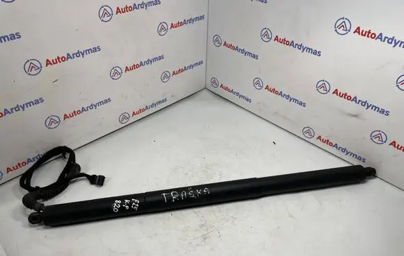 BMW X3 F25 Tailgate/trunk strut/damper 7232003 51247232003