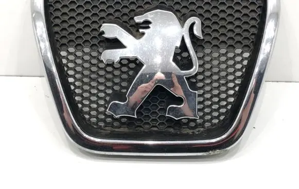 Peugeot 807 Front grill 1490016077