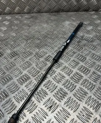 Tailgate/trunk strut/damper