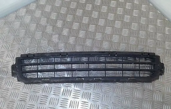Front bumper lower grill