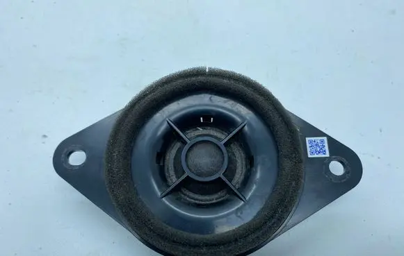 Panel speaker