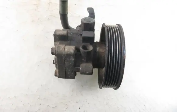 Hyundai Santa Fe Power steering pump 