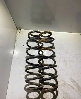 Peugeot 307 Rear coil spring