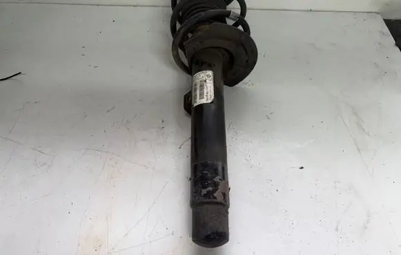 Front shock absorber with coil spring