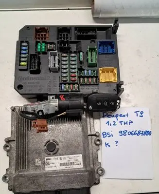 Peugeot 308 Other control units/modules 9806687880 BSIQ0301