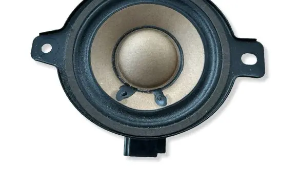 Opel Insignia A Front door speaker 545295771