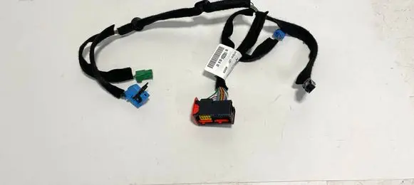 Other wiring loom