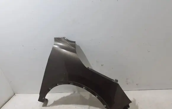 Nissan Qashqai Fender F31004EAMB