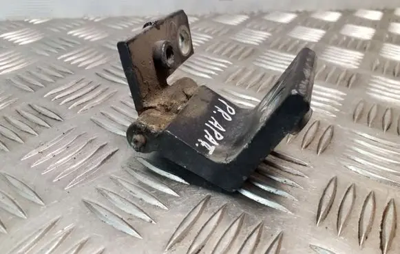 Citroen C8 Front door lower hinge 