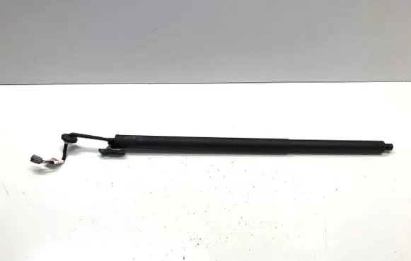 Ford Mustang Mach-E Tailgate/trunk/boot lift motor LJ8BR402A55AE