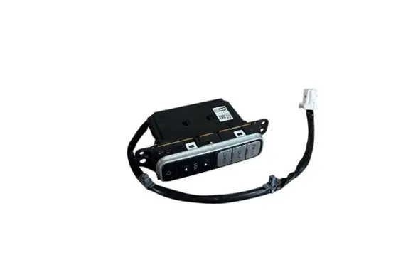 Nissan Leaf I (ZE0) Sound control switch 3NA3A210495